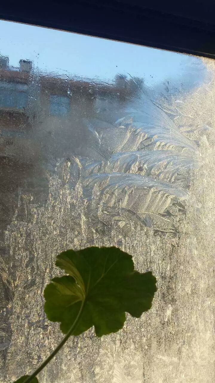���ȱ�˪��