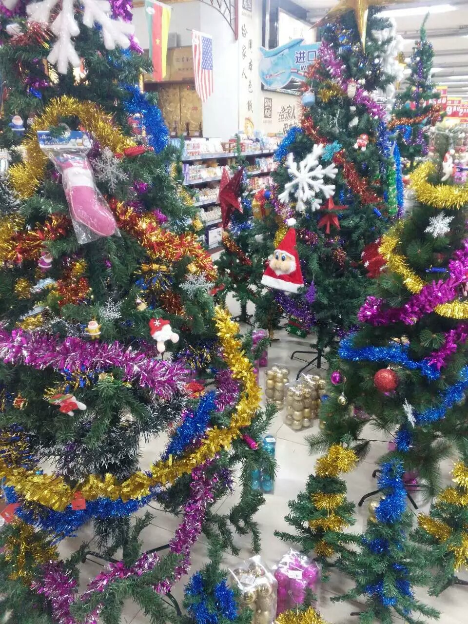 �̳��Ѿ�������ʥ������