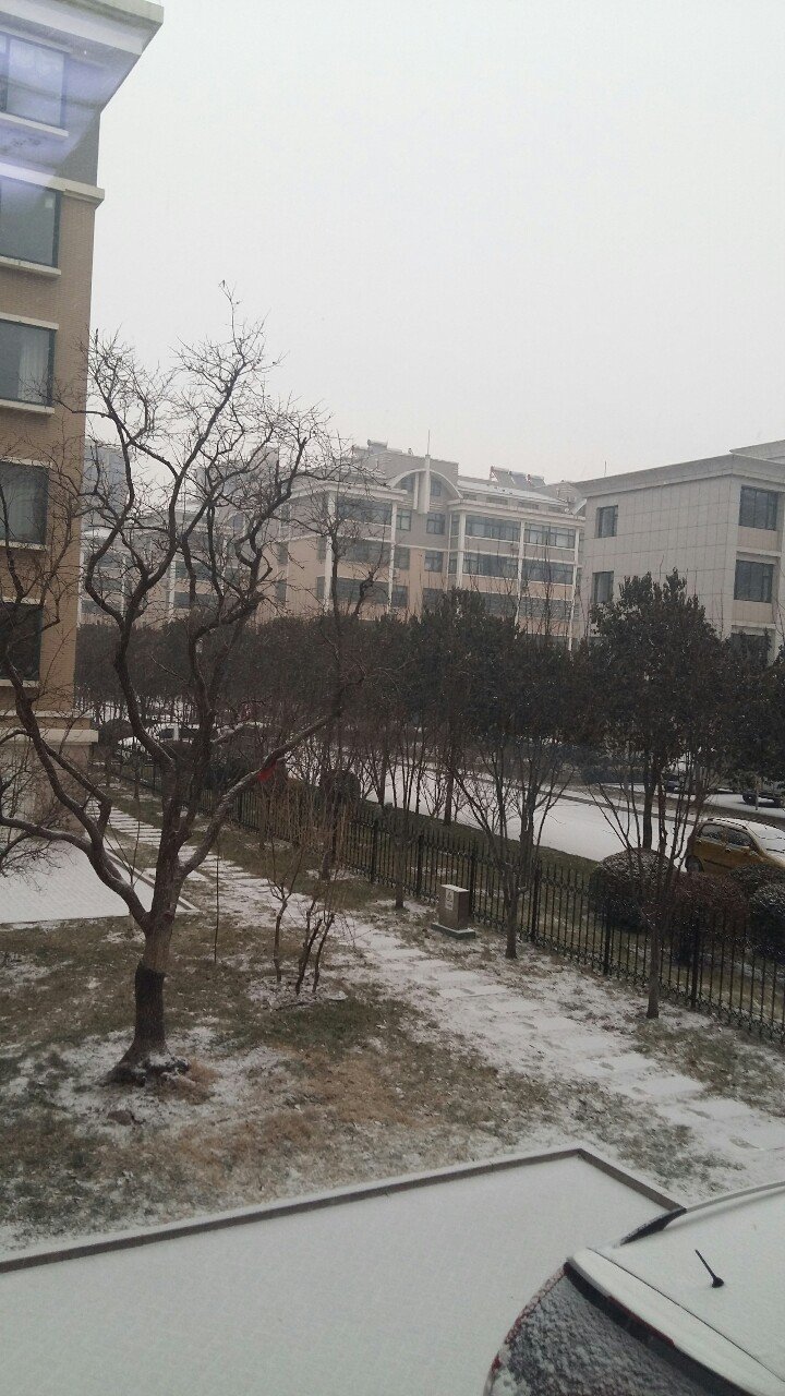 ��ѩ��