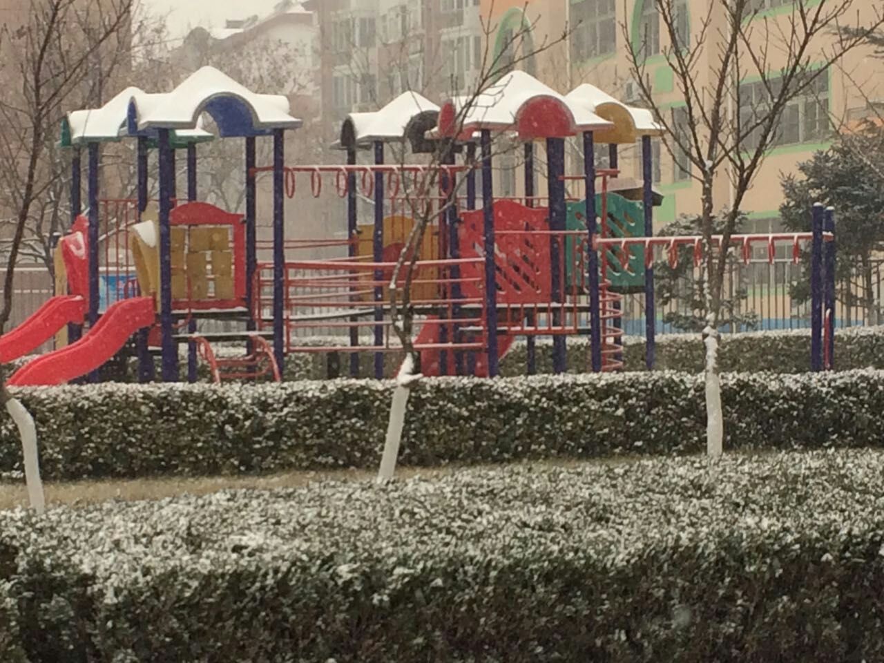 С��ѩ��