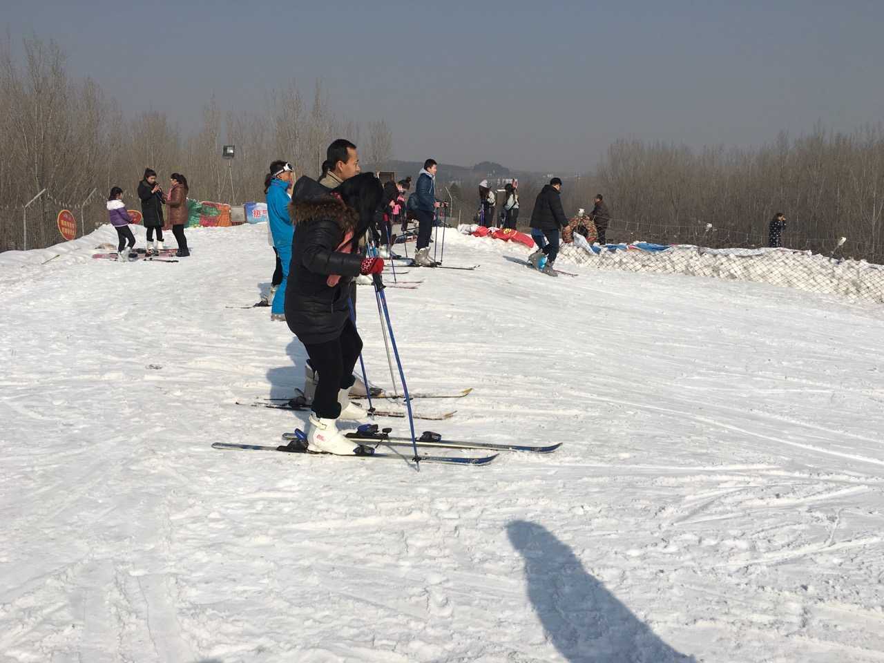 ��ѩ����