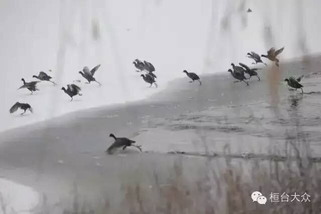 ��̤��ҰѼ��