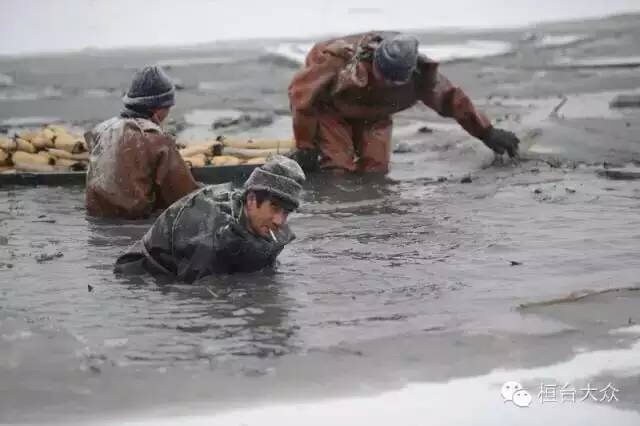 ���հ���ź��