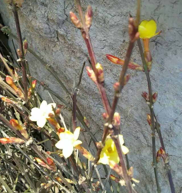 ӭ��������