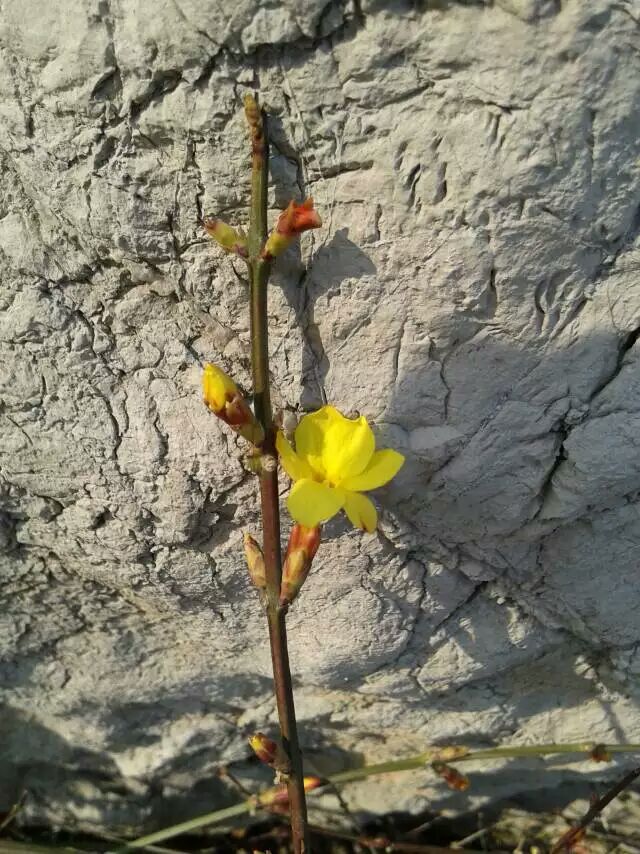 ӭ��������