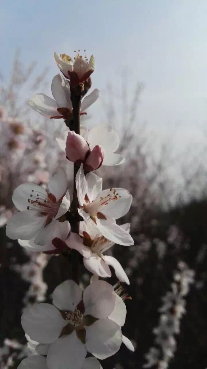 ���������ˣ�