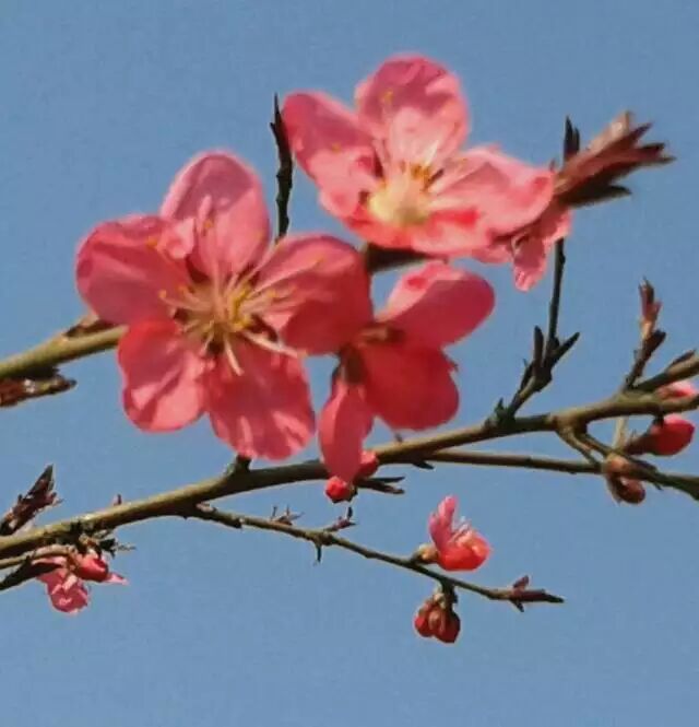 ����֮��