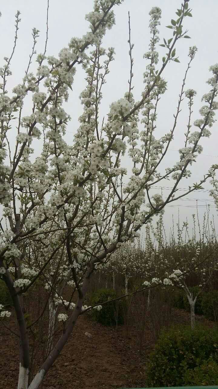 �滨