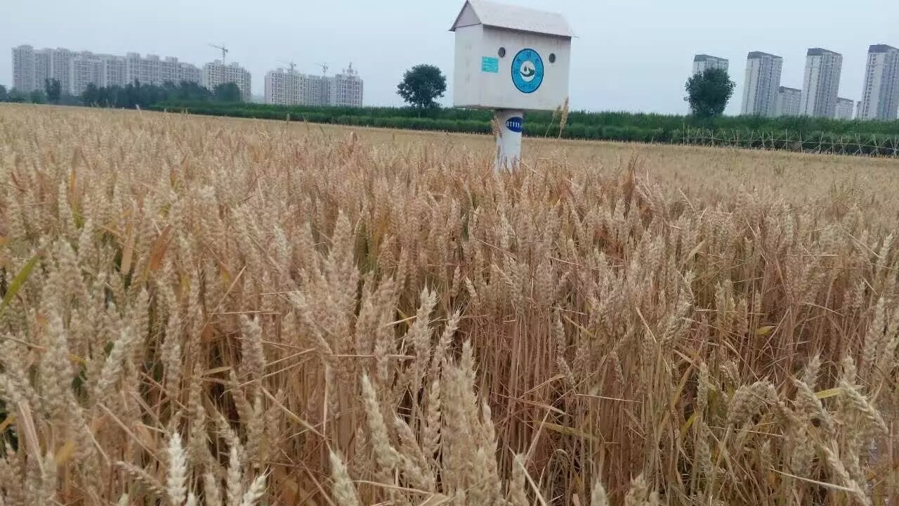 �������ˣ�1��