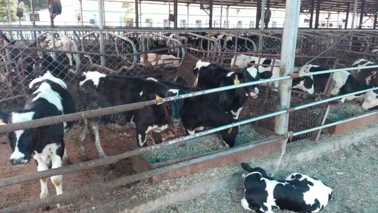 �³���ţ����