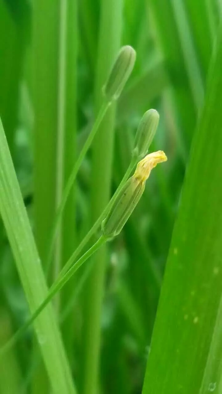 ·�ߵķ羰��1��