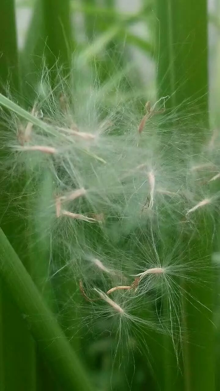 ·�ߵķ羰��2��