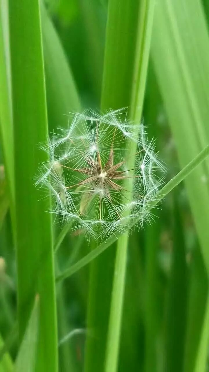 ·�ߵķ羰��3��