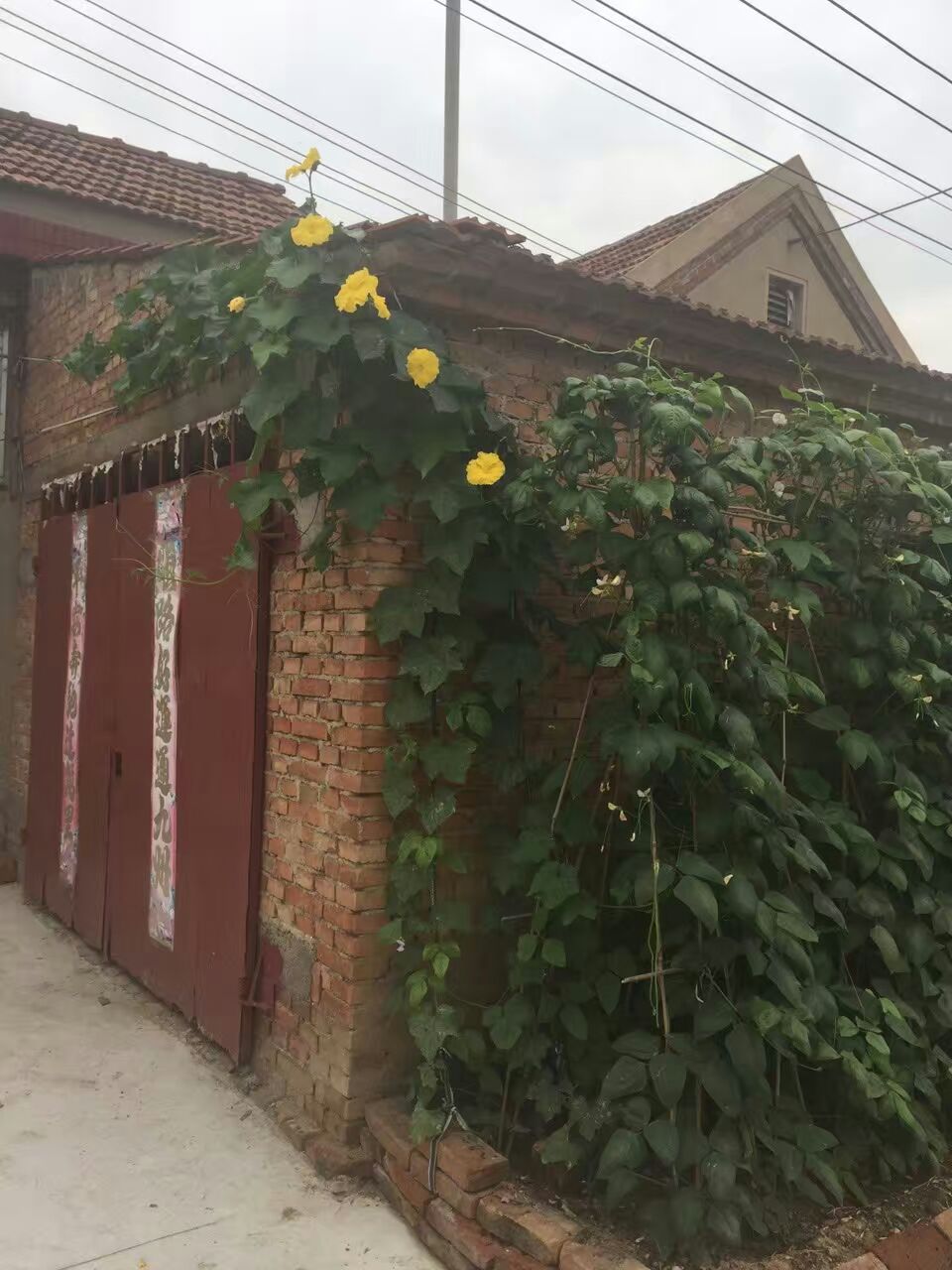 ���Ѽҵ�С��԰��3��