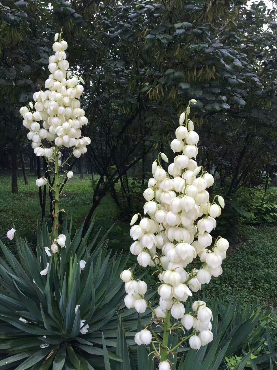 ��Ȼ�������2��
