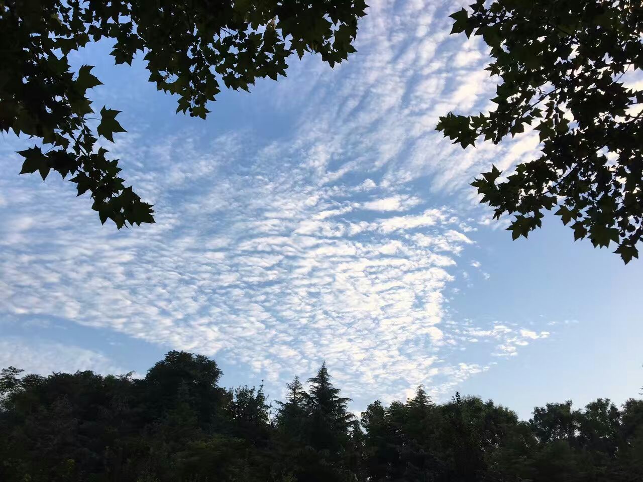 �����ˬ��5��