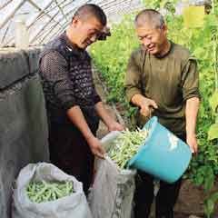 20181122�ֻ���